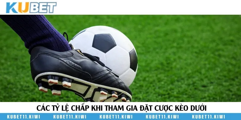Tổng hợp các tỷ lệ thường gặp khi chọn đặt kèo dưới