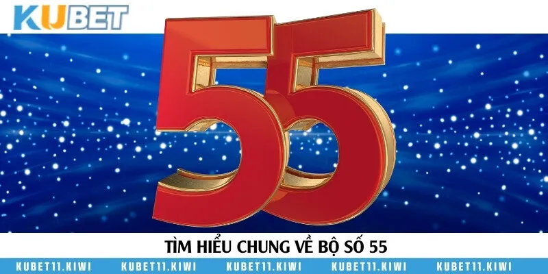 Giới thiệu về những con số trong bộ đề 55
